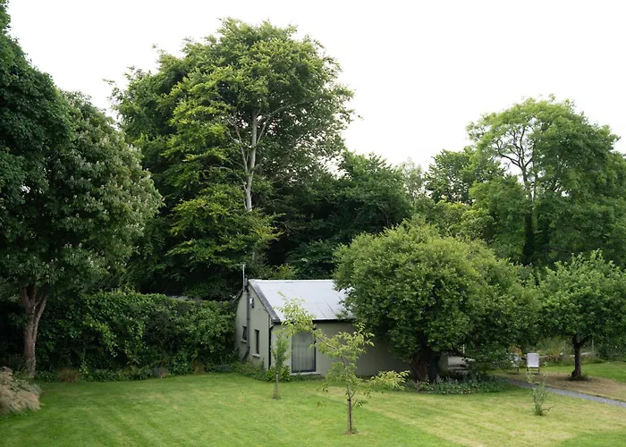 The Roost * Westport