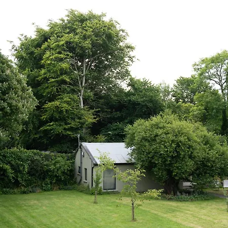 The Roost * Westport