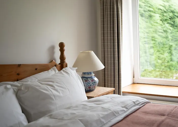 The Roost 韦斯特波特